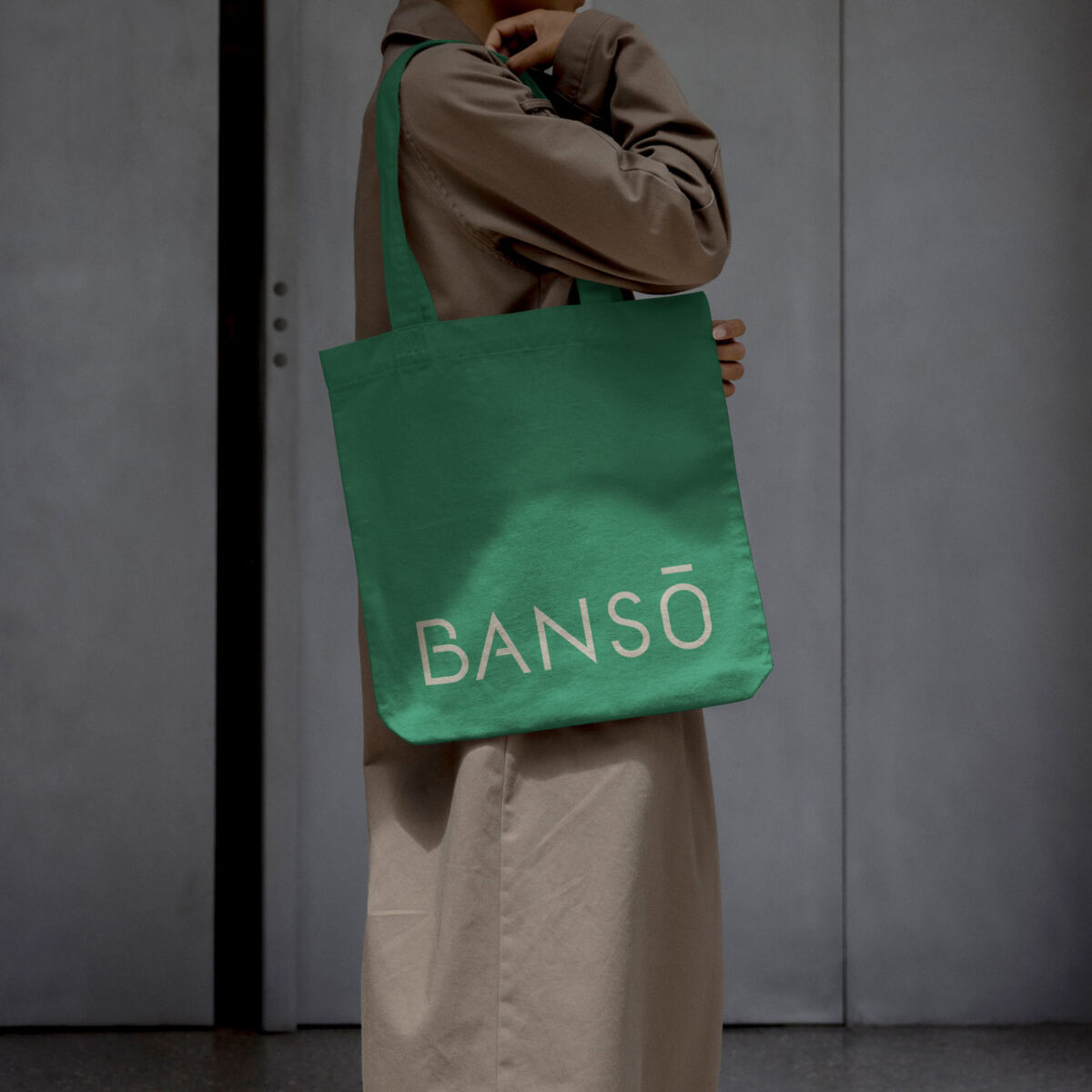 Banso asesores